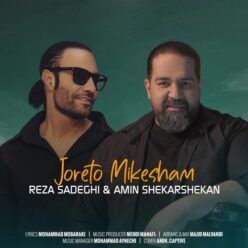 دانلود آهنگ رضا صادقی و امین شکرشکن جورتو میکشم